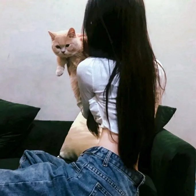 县委书记